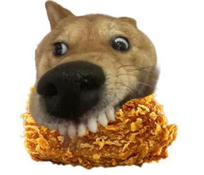 Tất Cả +115 Ảnh Chó Gặm Xương Meme Hài Hước, Hình Chó Gặm Đồ Ăn Cute