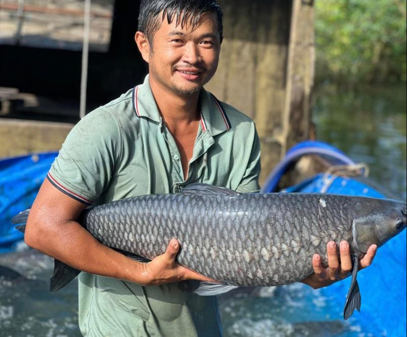 Cá Trắm Đen