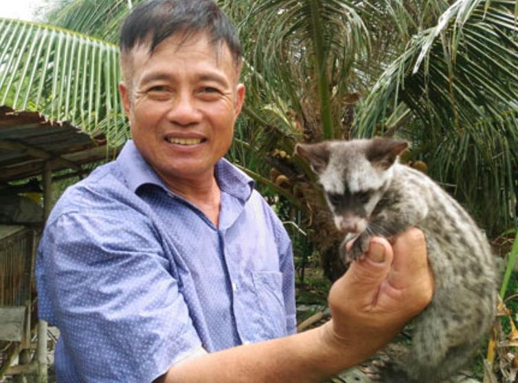 Chồn Mướp