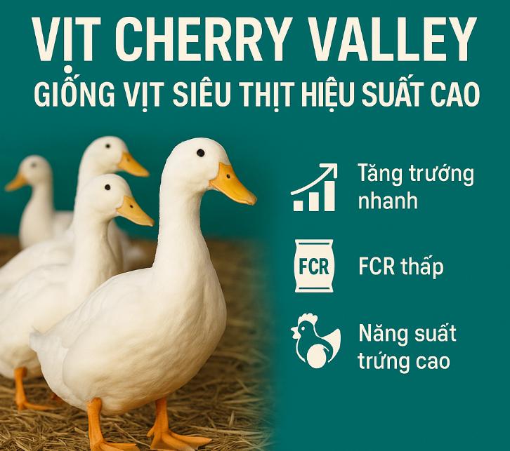 Cherry Valley